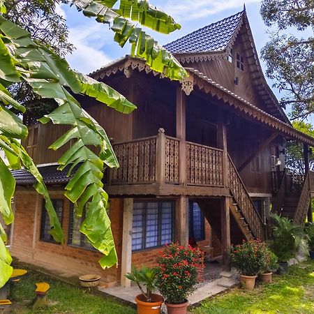 Sayang Di Kaki Bukit Homestay Near Icon City Bukit Mertajam Exteriör bild